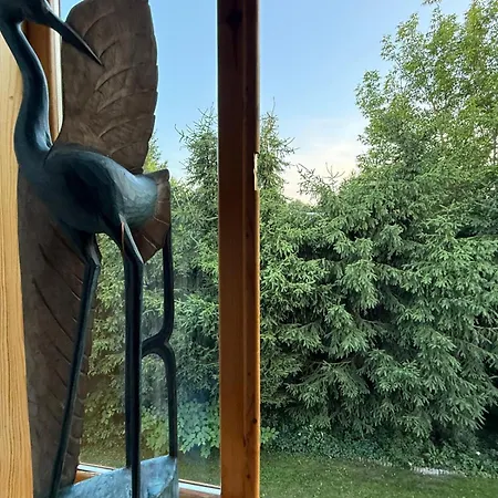 Pierwotnia Ptaki - Dom Caloroczny