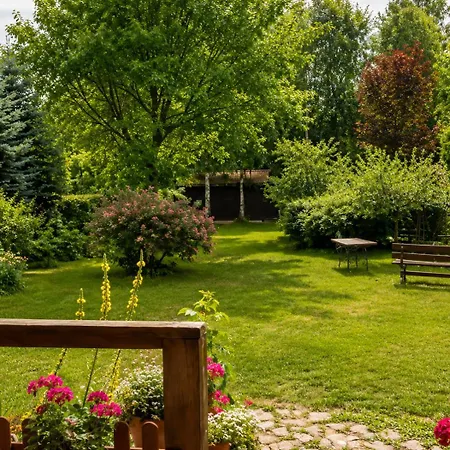 Pierwotnia Ptaki - Dom Caloroczny Kulki