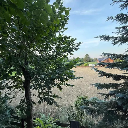 Pierwotnia Ptaki - Dom Caloroczny *