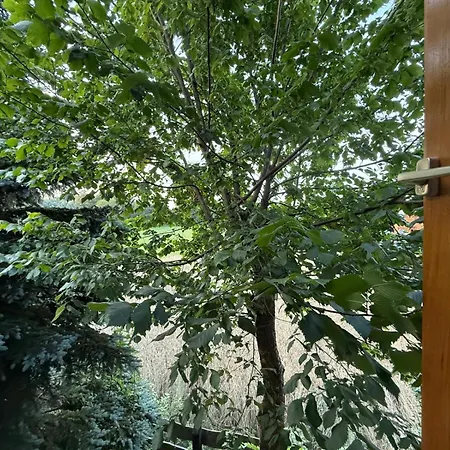 Casa de Férias Pierwotnia Ptaki - Dom Caloroczny Kulki